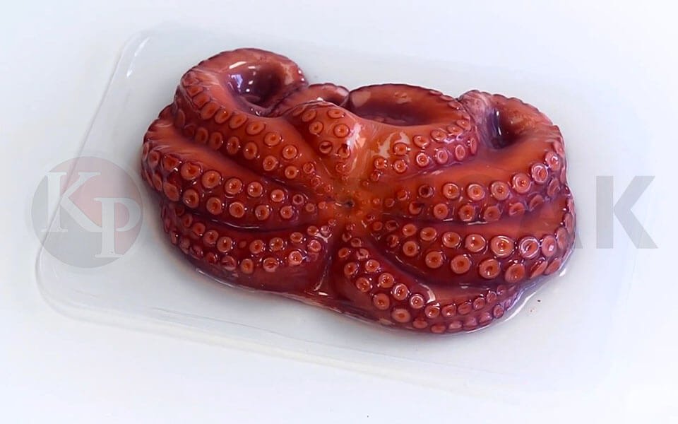 octopus vacuum skin packing picture