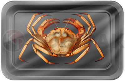 Crab tray sealer packing