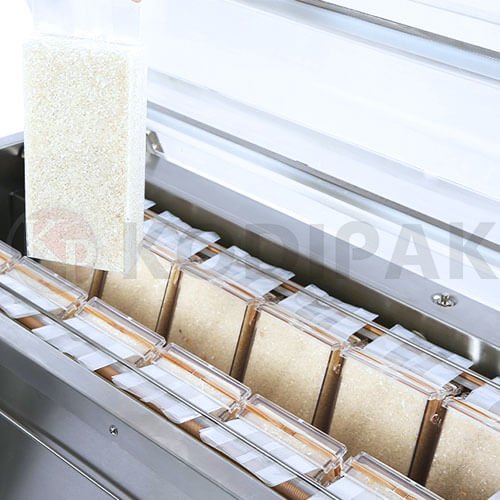 Deep Single Chamber Vacuum Packaging Machine Chamber Picture