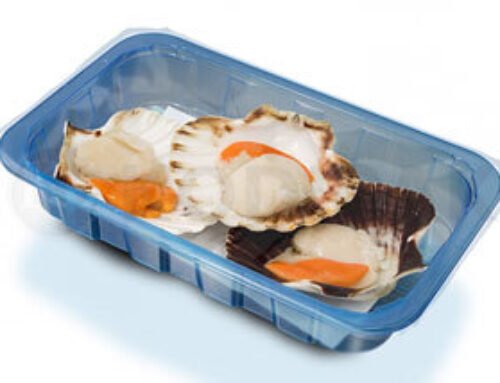 Scallops MAP modified atmosphere packaging tray sealing machine