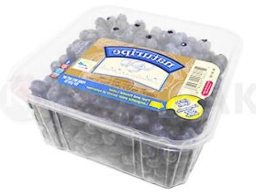 Blueberries tray sealer MAP modified atmosphere packaging tray sealing machine machine