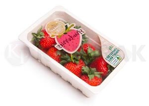 Strawberries MAP modified atmosphere packaging tray sealing machine supplier kodipak